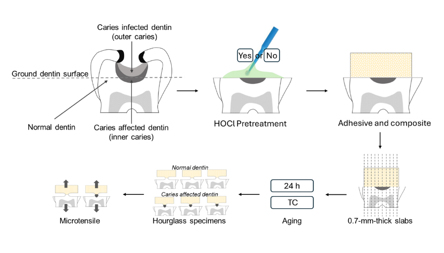 新研究：次氯酸可提升龋损牙本质粘接强度，或有效改善龋齿治疗效果- 好的牙